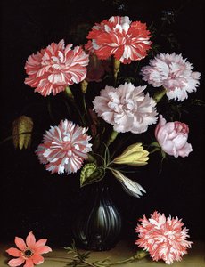 花の研究：花瓶のカーネーション（パネルに油彩） 作： Balthasar van der Ast