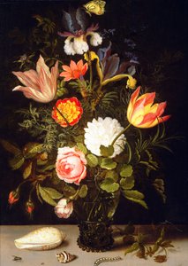 2つのシェルを持つRoemerの花の静物