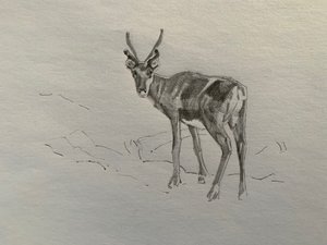 トナカイ、2019年 作： Barbara Hoogeweegen