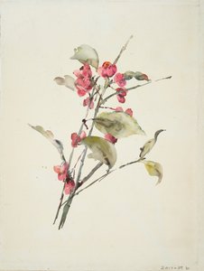 ピンクの花（紙に水彩） 作： Barbara Leigh Smith Bodichon