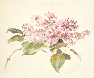 ピンクの花（和紙に水彩） 作： Barbara Leigh Smith Bodichon