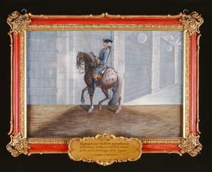 No. 20ボルテ馬場馬術ステップを実行するスペイン乗馬学校の灰色の馬（紙にトイレ）