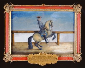 No. 45クールベと呼ばれる馬術運動をするスペイン乗馬学校の馬（紙にトイレ）