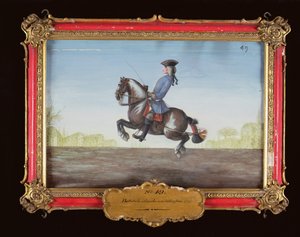 No. 49バロッタードと呼ばれる馬場馬術運動を行っているスペイン乗馬学校の馬（紙にトイレ）
