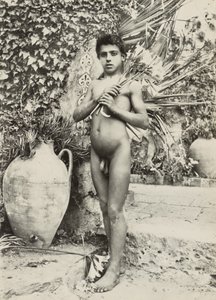 [庭の少年] 作： Baron Wilhelm von Gloeden