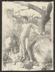 [ヌード・ユース・イン・ガーデン］ 作： Baron Wilhelm von Gloeden
