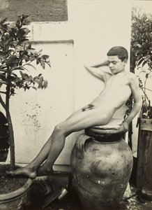 [庭の裸の若者] 作： Baron Wilhelm von Gloeden