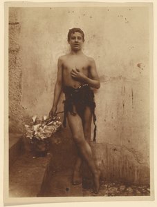 [ユリのある青春] 作： Baron Wilhelm von Gloeden