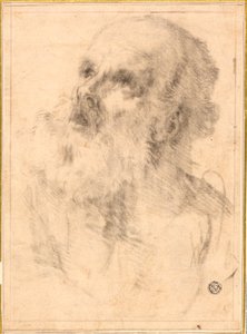 老人の頭 作： Bartolomé Esteban Murillo