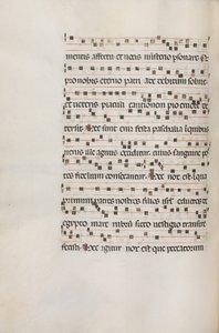 ミセル、ポル。 Exultel用154V音楽、1469年。 作： Bartolomeo Caporali