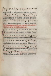 ミセル、ポル。 156 Music Exultel、1469。 作： Bartolomeo Caporali