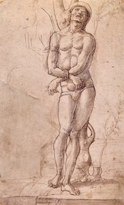 聖セバスチャン、1475年頃、バルトロメオ・モンターニャ作（1450～1523年頃）、ペンと茶色のインク、茶色のウォッシュ、cm 20x15、イタリア 作： Bartolomeo Montagna