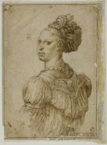 女性の理想のバスト 作： Bartolomeo Passarotti