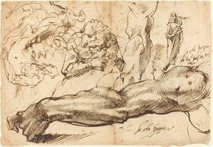 左腕、若い女性、マドンナと子供、横顔、裸体の習作 作： Bartolomeo Passarotti