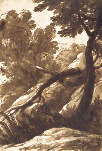 樹木が茂った風景 作： Bartolomeo Torregiani