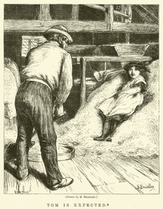 トムは期待されています 作： Basil Bradley