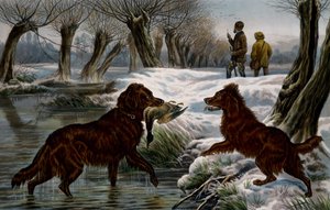 野生のカモの狩猟 作： Basil Bradley