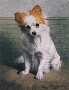 トイ・ドッグ 作： Basil J. Nightingale