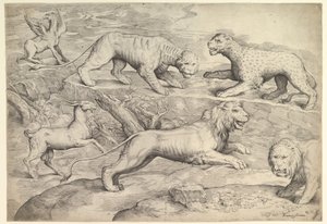 ライオン、トラ、ヒョウ、グリフィン、ヤギを含む 6 匹の動物。 1530-61。 作： Battista Franco Veneziano