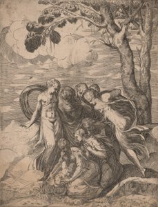 モーセの発見、1540 年代。 作： Battista del Moro