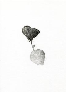 サスペンス、2014（紙に木彫り） 作： Bella Larsson