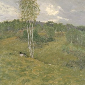バーチ クラッド ヒルズ、カリフォルニア州。 1908年。 作： Ben Foster