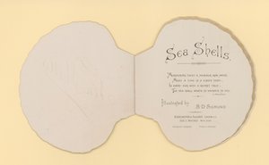 冊子「Sea Shells」のイラスト（カラーリトグラフ）。