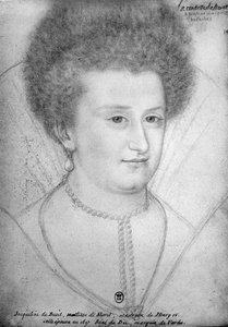 ジャクリーン・ド・ブイユ（1580-1651）モレット伯爵夫人の肖像 作： Benjamin Foulon