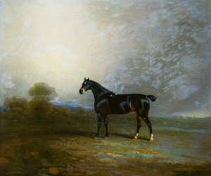 チャールズシャトルワースのお気に入りのハンター、ベンボ、Esq。、1802 作： Benjamin Marshall