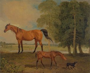 仔馬と繁殖牝馬、テリア 作： Benjamin Marshall