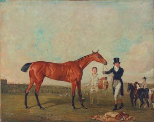 1819年にトレーナーのウィルチフニーによって開催されたショヴェラー 作： Benjamin Marshall