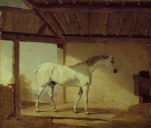 コベントリー伯爵の馬、1805年。 作： Benjamin Marshall