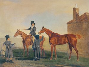 イエローハンマー、1800年頃