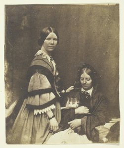ミセス・クレイク・ホールディング・キャット、c。 1858年。 作： Benjamin Mulock