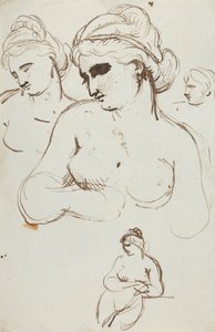 ヌード女性の研究