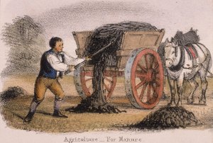 農業、肥料用、c1845