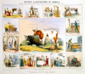 牛、c1850 作： Benjamin Waterhouse Hawkins