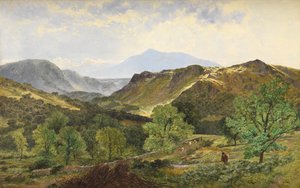 Moel Siabod-革の谷、1871年 作： Benjamin Williams Leader