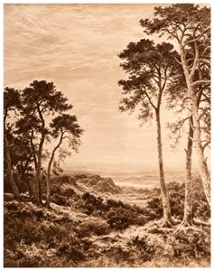 雨の後の日没、1903 作： Benjamin Williams Leader