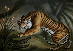 タイガーとクロコダイル 1810年頃 （板に砂絵） 作： Benjamin Zobel