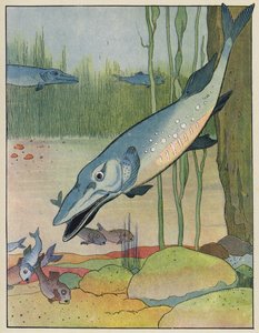 魚 作： Benjamin Rabier