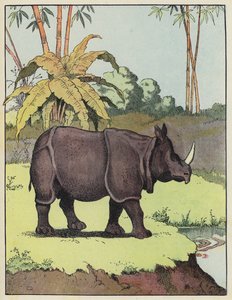 インドサイ 作： Benjamin Rabier
