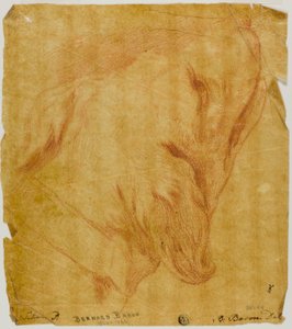 犬の頭 作： Bernard Baron