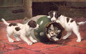 猫のポストカード（カラーリトグラフ） 作： Bernard Cobbe