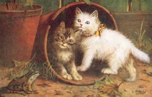 猫のポストカード（カラーリトグラフ） 作： Bernard Cobbe
