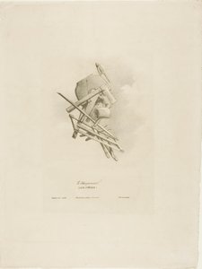 アール・エ・メティエより大工 作： Bernard Gaillot