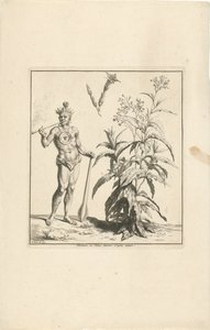 タバコ工場とアメリカの原住民 Nicotiana ou Tabac dessinée d