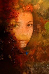  作： Bernard Scribante