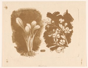 クロッカスと花の枝 作： Bernard Willem Wierink