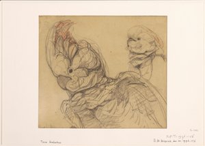 半分の長さの 2 つのオウム 作： Bernard Willem Wierink